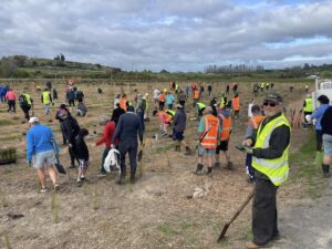 omokoroa-rotay-club-members-volunteering